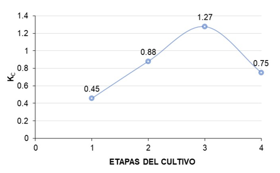 Valores de Kc obtenidos para cuatro etapas fenol&oacute;gicas del cultivo de fr&iacute;jol caup&iacute; (Vigna unguiculata (L.) Walp.). bajo condiciones de estudio.