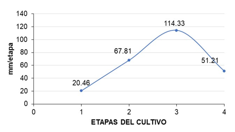 Necesidades h&iacute;dricas para cuatro etapas fenol&oacute;gicas de fr&iacute;jol caup&iacute; (Vigna unguiculata (L.) Walp.). bajo condiciones de estudio.