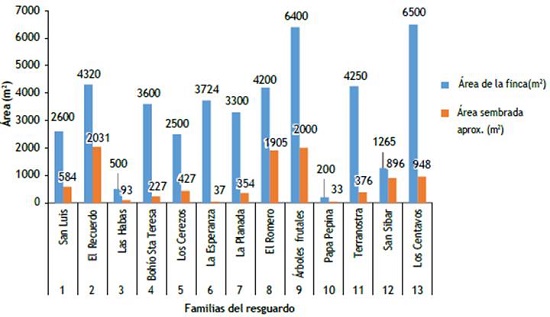 Área sembrada en los predios de las familias. (FUENTE: Elaboración propia).