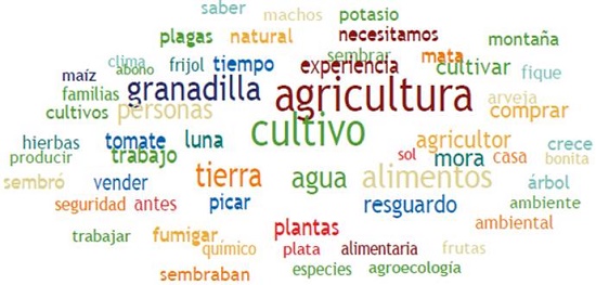 Nube de palabras de los criterios identificados para tener disponibilidad de alimentos en familias del resguardo Muisca de Chía. (Fuente: Diálogos de grupo focal trabajado con ATLAS TI 8).