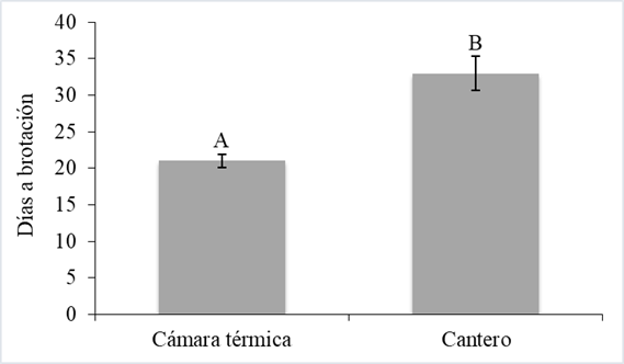Efecto del ambiente de propagación sobre el tiempo de brotación de cormos de plátano cv. Barraganete. Cada barra representa la media de tres repeticiones (±desviación estándar). Letras diferentes indican diferencias estadísticas entre medias (Tukey, p<0.05).