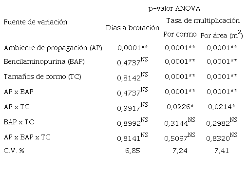 Significancia estadística de días a brotación y tasa de multiplicación de plántulas de plátano por cormo y por m2 de ambiente de propagación.