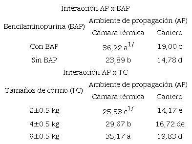 Efecto de interacción entre ambientes de propagación (AP) x bencilaminopurina (BAP) y ambiente de propagación (AP) x tamaños de cormo (TC) sobre la tasa de multiplicación de plántulas de plátano por cormo a los 90 días después de la brotación.