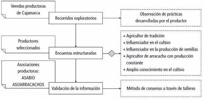 Esquema metodol&oacute;gico para la captura de informaci&oacute;n en la tecnolog&iacute;a local de producci&oacute;n de semilla de arracacha en Cajamarca, Tolima.