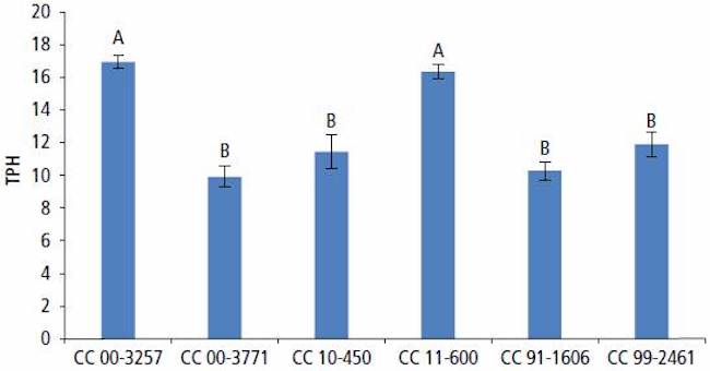 Toneladas de panela por hectárea (TPH) en evaluación de variedades de caña de azúcar para panela en Barbosa (Santander, Colombia). Medias con letra común no son significativamente diferentes (α = 0,05). Barras verticales representan el error estándar n=3.