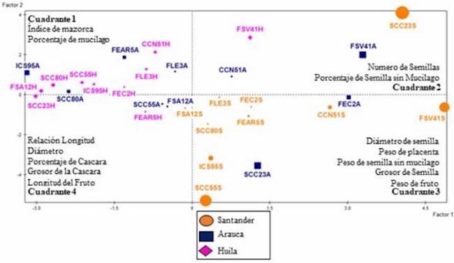 Nivel de agrupamiento de diez materiales de cacao de diferentes zonas productoras, con base en los dos primeros (Theobroma cacao L.) procedentes componentes principales.