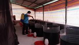 Preparaci&oacute;n de la nave para la crianza de pollos