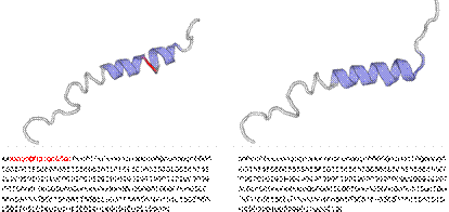 Modelo de la OPN con el p&eacute;ptido se&ntilde;al de secreci&oacute;n de 16 amino&aacute;cidos (izquierda; secuencia reportada en NCBI prot, accesi&oacute;n M66236); y sin el p&eacute;ptido se&ntilde;al clonada en el pl&aacute;smido pET28(a+) para obtener rOPN-H6 con secuencia optimizada a trav&eacute;s del cod&oacute;n de la E. coli (derecha). Ambos modelos se realizaron mediante la base de datos SWISS-MODEL de la plataforma Expasy (https://www swissmodel.expasy.org/). Como plantilla se us&oacute; la subunidad 15 del complejo promotor del anafase por homolog&iacute;a en la secuencia de amino&aacute;cidos.