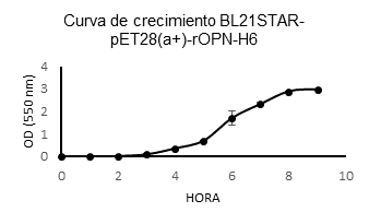 Cin&eacute;tica de crecimiento de la cepa de E. coli BL21STAR transformada con el pl&aacute;smido pET28(a+)-rOPN-H6. Se midi&oacute; la OD550 cada hora durante 9 horas para establecer el inicio de la fase exponencial y determinar el tiempo &oacute;ptimo de inducci&oacute;n mediante IPTG para la producci&oacute;n de rOPN-H6.