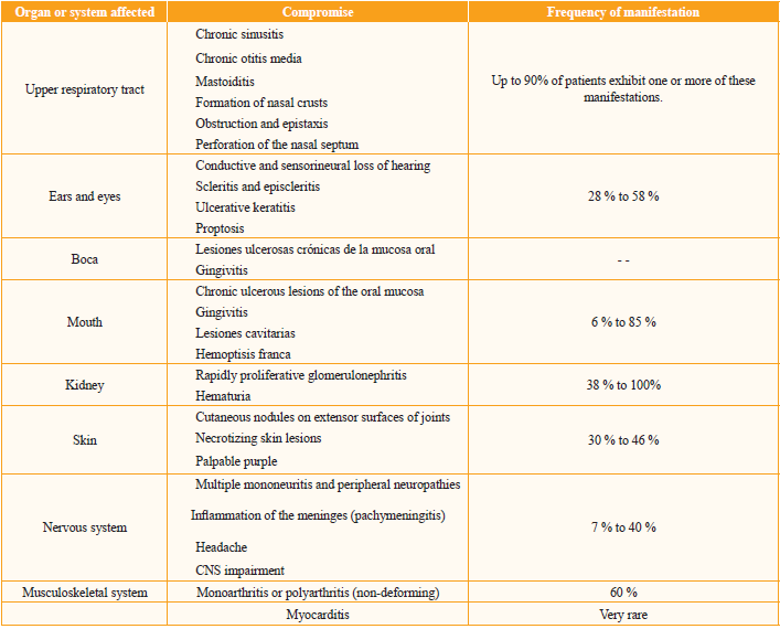 Organ or system affected in patients with Wegener's granulomatosis