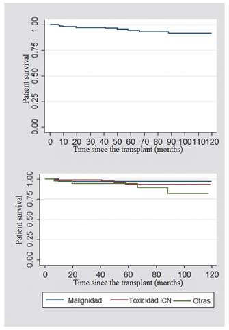Patient survival (upper: patients switched to mTOR inhibitors; lower: according to the indications for switching to mTOR inhibitors)
