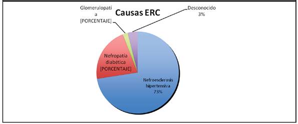 Causas de la enfermedad renal crónica (ERC) en los pacientes estudiados.