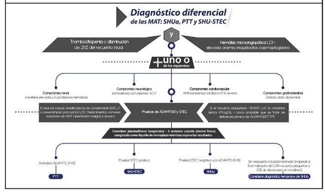 Algoritmo para el diagnóstico diferencial de la microangiopatía trombótica documento de consenso colombiano1.