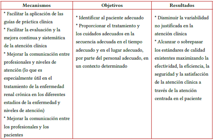 Mecanismos y objetivos de las vas clnicas para lograr una atencin clnica de excelencia en salud renal.