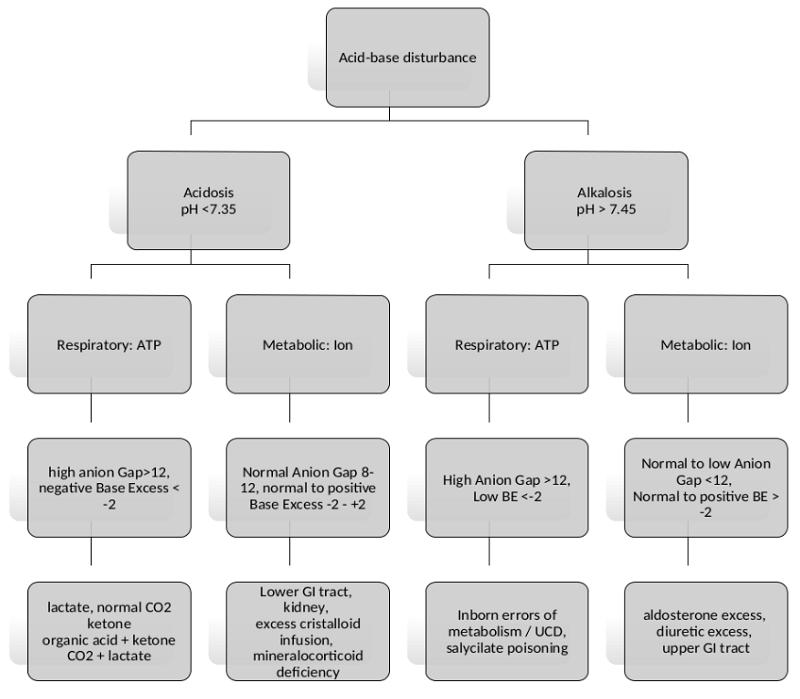 Biochemical classification of acid-base disturbances