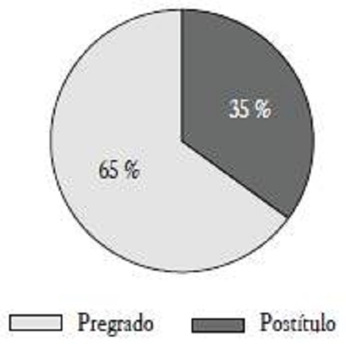Distribución de los auditores según su nivel de estudios