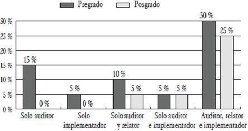 Distribución de los auditores según nivel de educación y áreas de desempeño con respecto a cada grupo de la muestra.