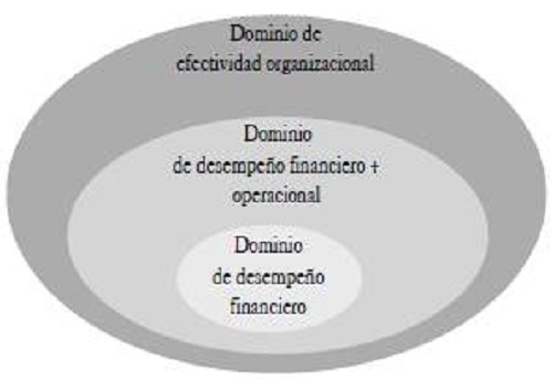 Circunscribiendo el dominio del desempeño organizacional.