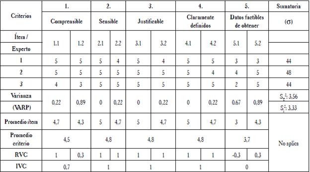 Resultados validaci&oacute;n de contenido: "expertos".