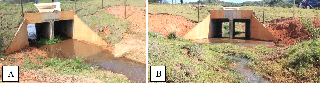 (A) Vis&atilde;o &agrave; montante e (B) &agrave; jusante do bueiro, notar a inefic&aacute;cia da cobertura vegetal para controle dos processos erosivos.
