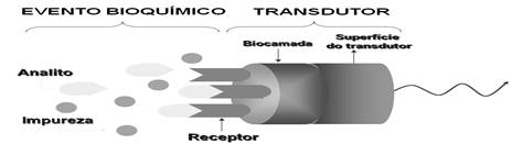 Modelo esquem&aacute;tico de um Biossensor.