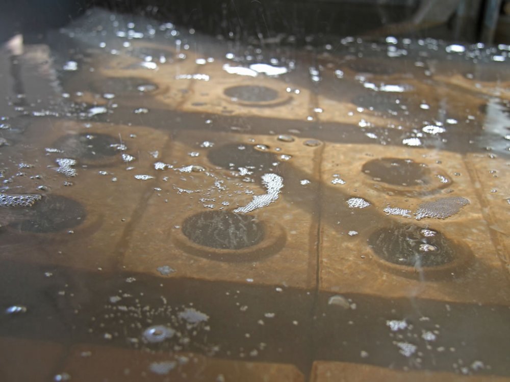 Absor&ccedil;&atilde;o da &aacute;gua.