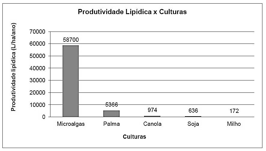 Produtividade lip&iacute;dica de diferentes mat&eacute;rias primas.