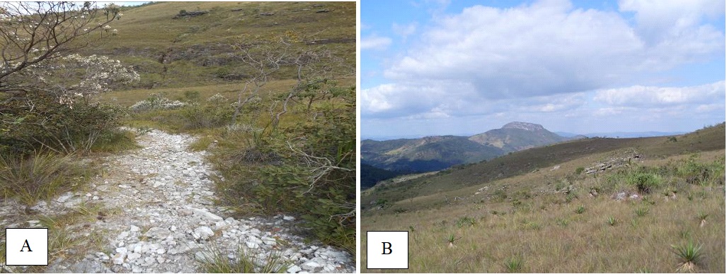 (A) Vis&atilde;o geral da trilha de acesso ao Alto das Bandeirinhas e (B) Vis&atilde;o geral do Mirante dos Alves (em segundo plano na foto), observada a partir do Alto das Bandeirinhas, Serra dos Alves, Itabira (MG).