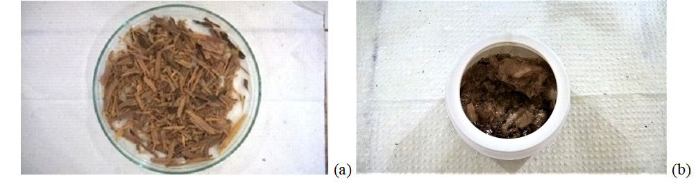 Cascas do caule do ipê-roxo (a); extrato liofilizado (b)