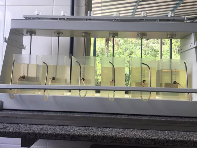 Resultado visual da análise de turbidez em cada jarro, após o primeiro teste