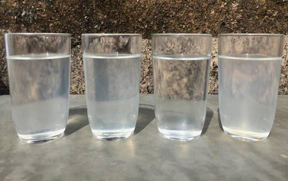 Água de cada um dos 4 jarros após o experimento com Semente Moringa Oleífera, respectivamente.