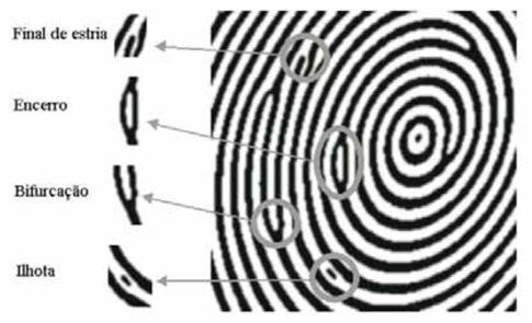 exemplos de min&uacute;cias encontradas em uma impress&atilde;o digital.