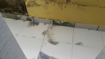 Manchas nas placas e paredes.