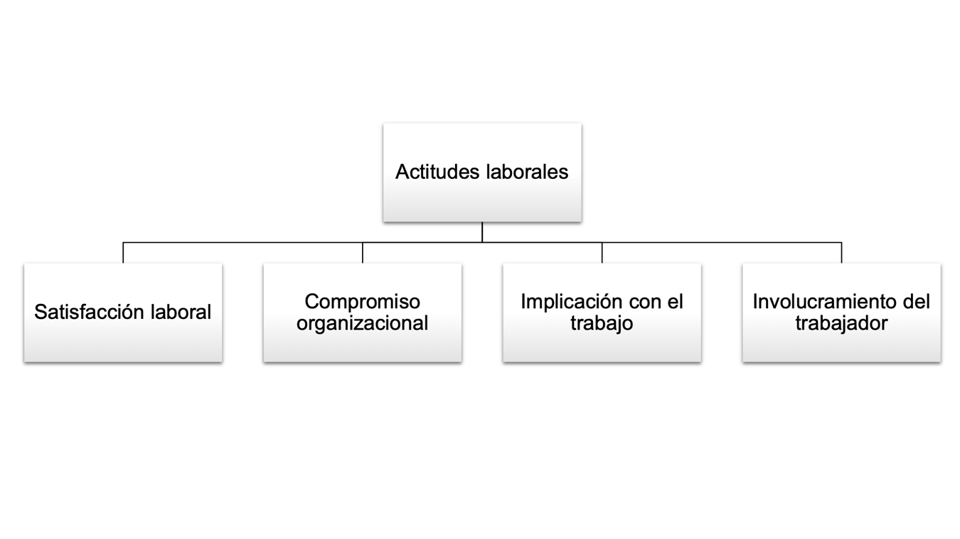Actitudes laborales m�s estudiadas en los �ltimos tiempos por la Psicolog�a Organizacional.