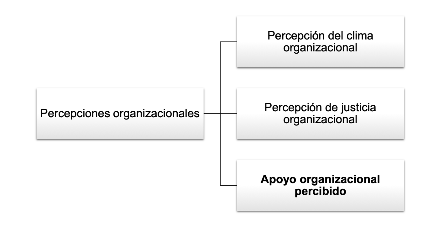 Percepciones organizacionales m�s estudiadas en los �ltimos tiempos por la Psicolog�a Industrial Organizacional.