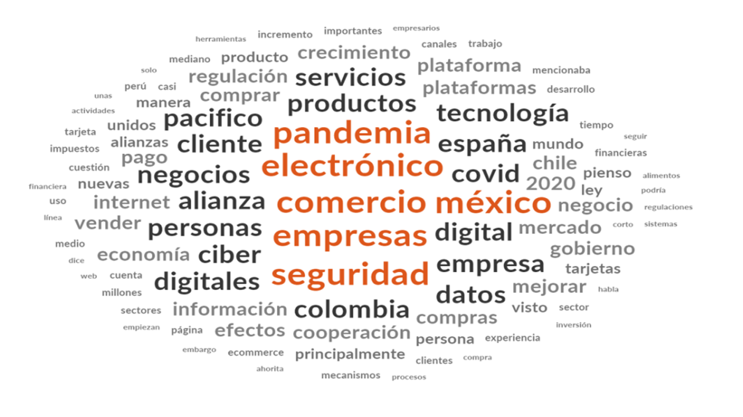 Dimensi�n 1: E-commerce como modelo de negocio