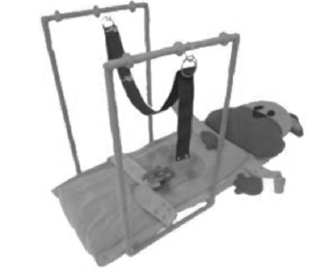 Camilla para terapia en brazos y piernas, (Bravo, Crono & Velazco. 2011).