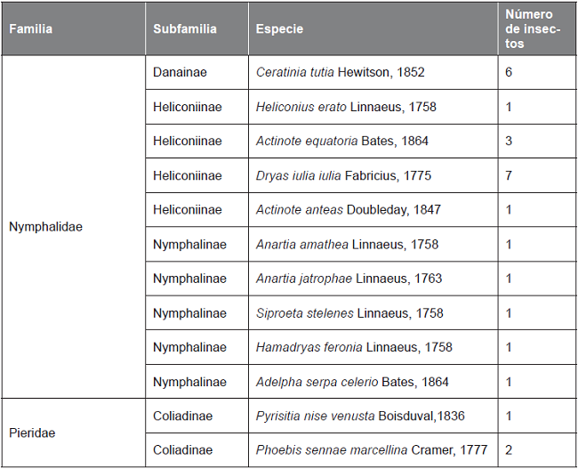 Listado de especies de mariposas presentes en la etnogranja la Valentina.
