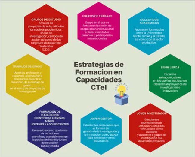 Definici�n de las estrategias del Programa Institucional de Formaci�n de Capacidades en CTeI de la Universidad Santo Tom�s.