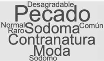 Nube de palabras que m�s utilizan los docentes para conceptualizar la diversidad sexual.