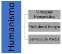 Categoras y subcategoras para abordar en el trabajo de investigacin.