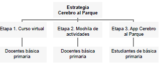 Etapas de Cerebro al
Parque