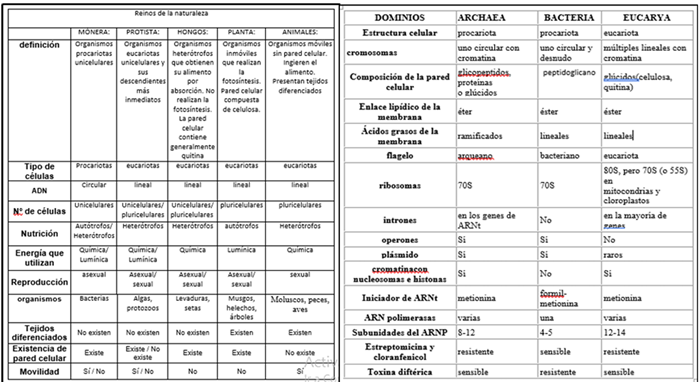 Cuadro entregado por Jenny
