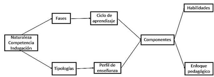 Secuencia de an�lisis de las concepciones docentes frente a la naturaleza de la CI.