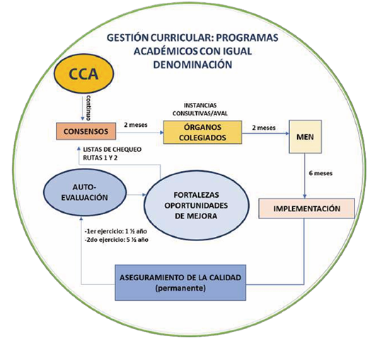 Comit� Curricular Ampliado: Ruta Transversal