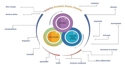 La 
							usta como sistema organizado
						
