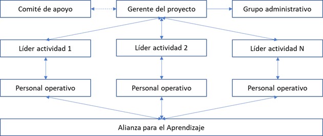 Organizaci�n del proyecto