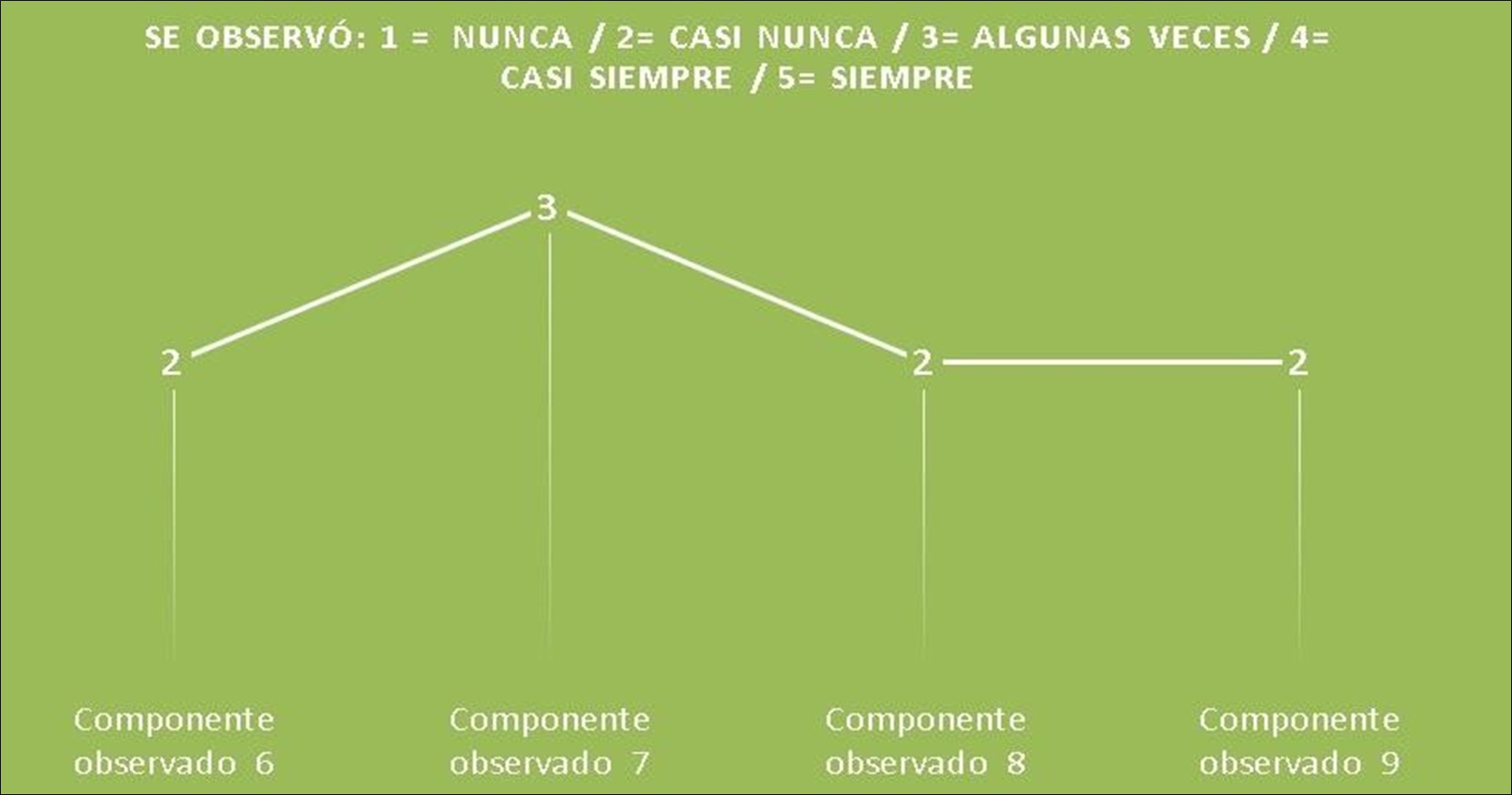 Fragmento gr�fico 2 &ndash; Observaci�n no participante