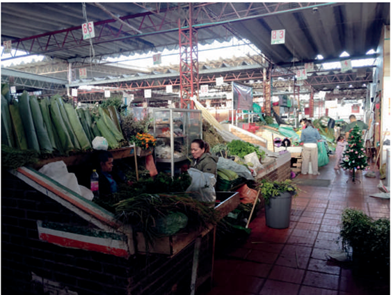  Fotograf�a de la plaza de mercado Norte-Tunja.