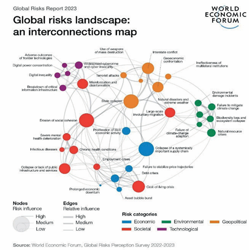 Mapa de Interconexi�n de los Riesgos Globales Importar imagen
